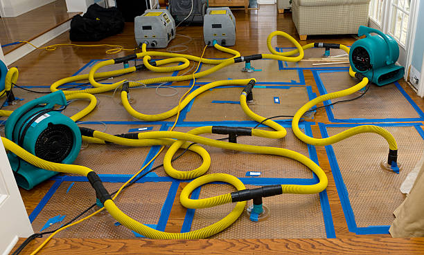 Professional Sewage Cleanup technician working in Wolf Creek, OR